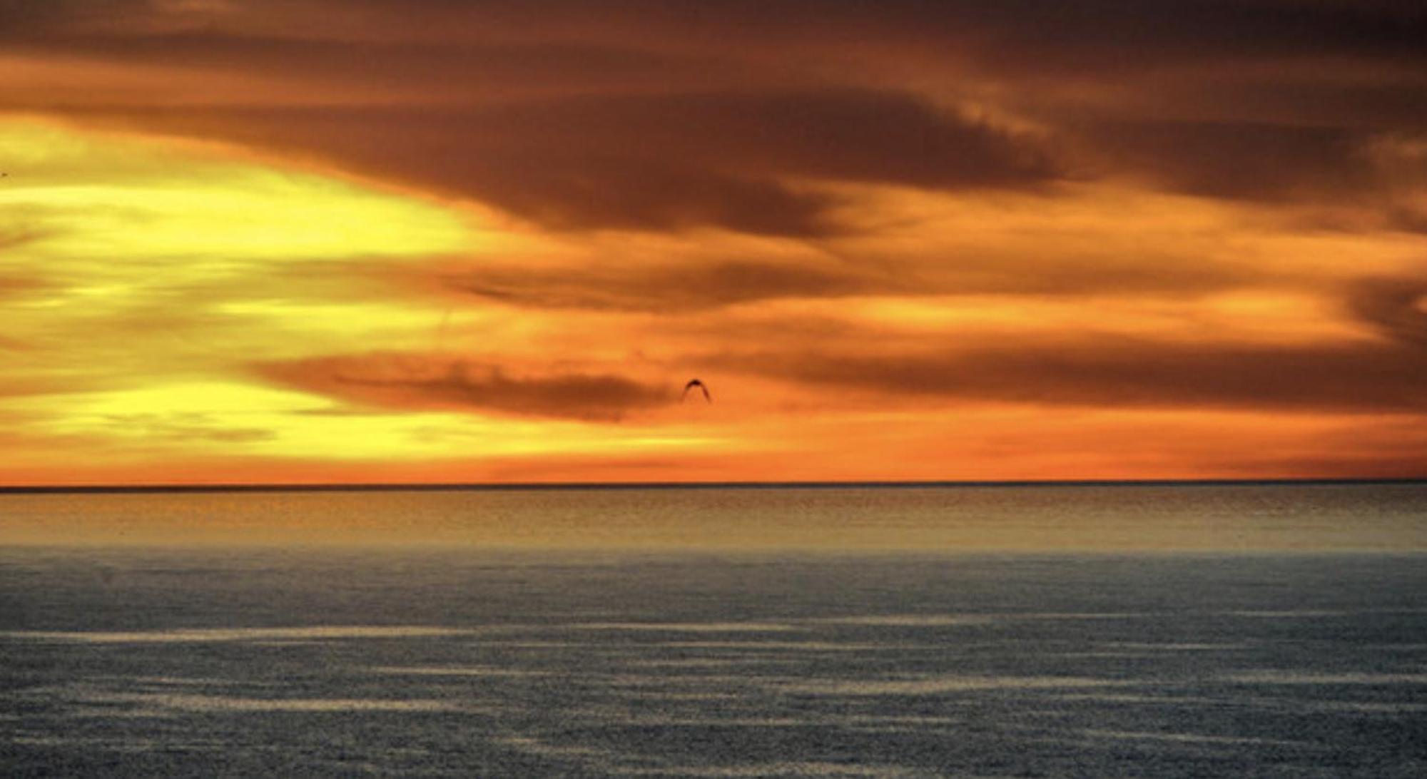 Piuma Celeste A Due Passi Dal Mare E Dal Centro Storico Ostie Extérieur photo